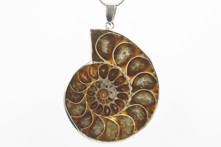 Fossil Ammonite Pendant - Million Years Old #306474